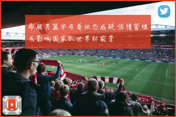 希腊男篮字母哥状态成疑 伤情管理或影响国家队世界杯前景