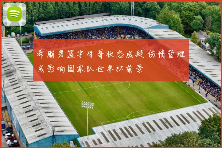 希腊男篮字母哥状态成疑 伤情管理或影响国家队世界杯前景